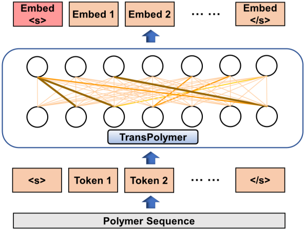 2023transpolymer.png