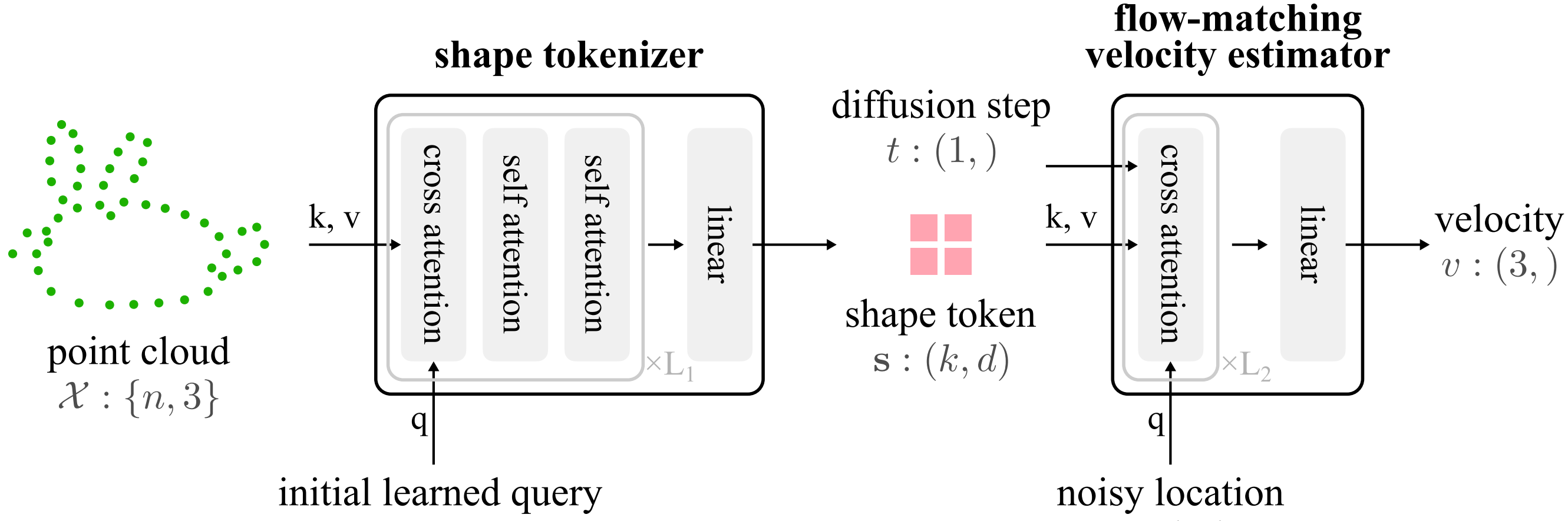 2024shapetoken.png